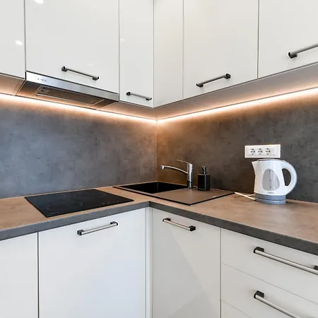 Crowonder & Oaza With Heated Swimming Pool And Sauna 4* 图兰杰